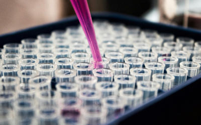 Types of Hormone Testing: A Complete Guide to Understanding Your Options